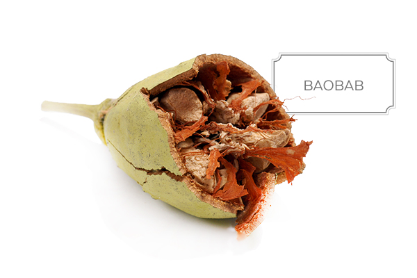 baobab-a.jpg