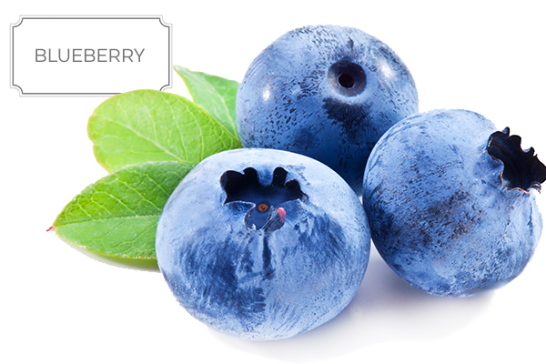 blueberry-a.jpg
