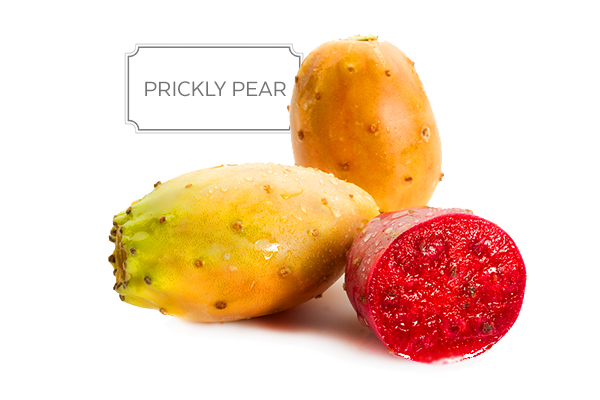 prickly-pear-a.jpg