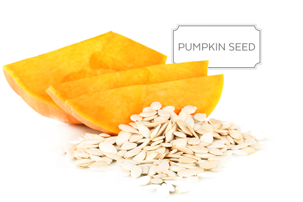 pumpkin-seed-a.jpg
